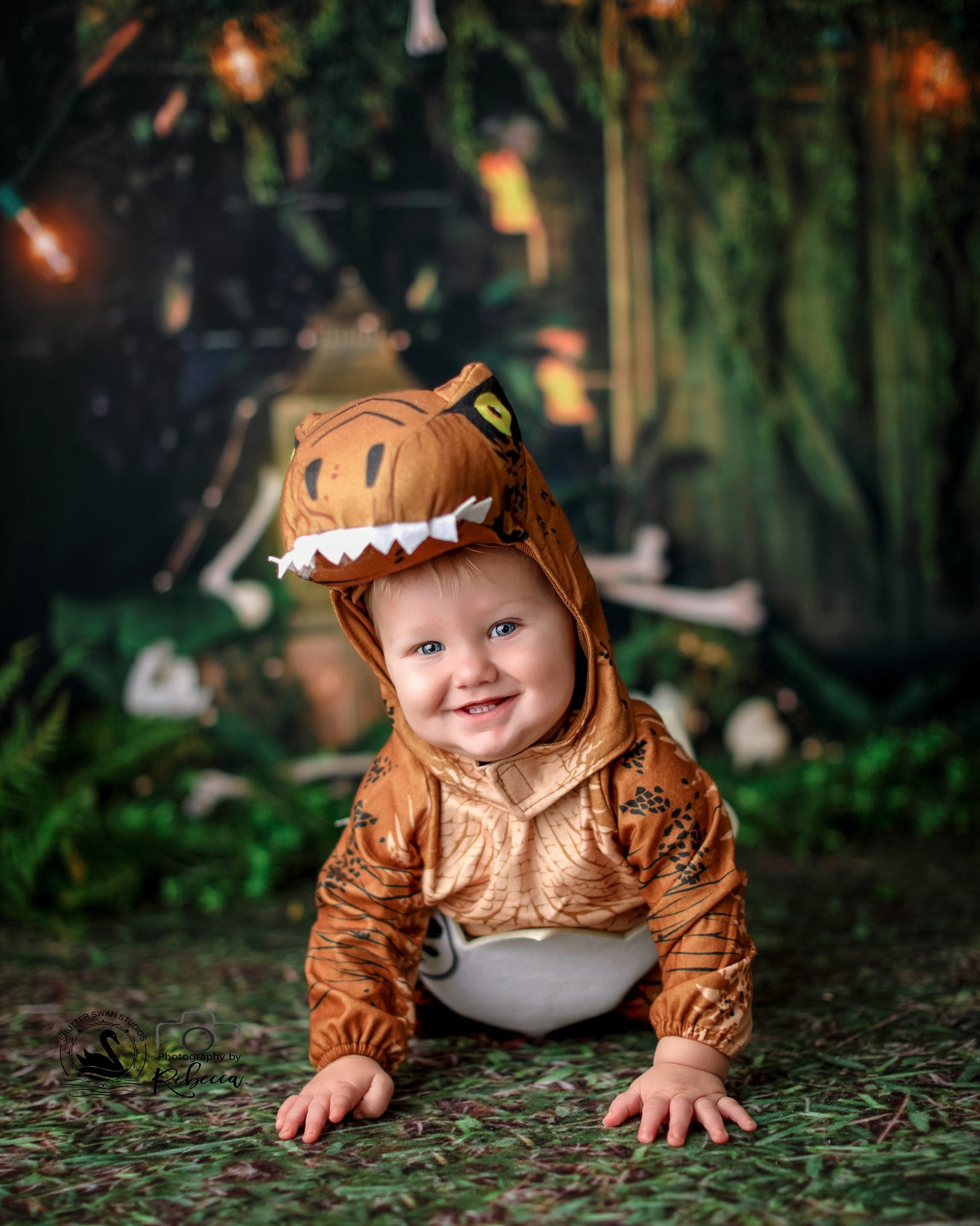 We Have A T-Rex – Fancy Fabric & Props