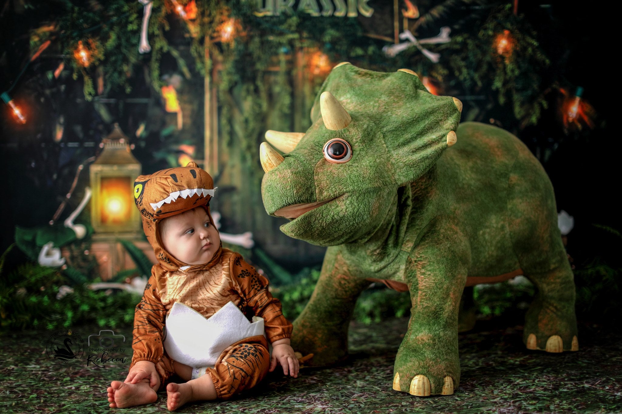 We Have A T-Rex – Fancy Fabric & Props