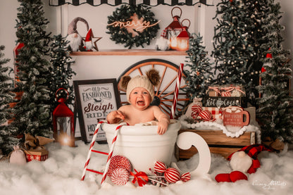 Sleigh Rides For Sale