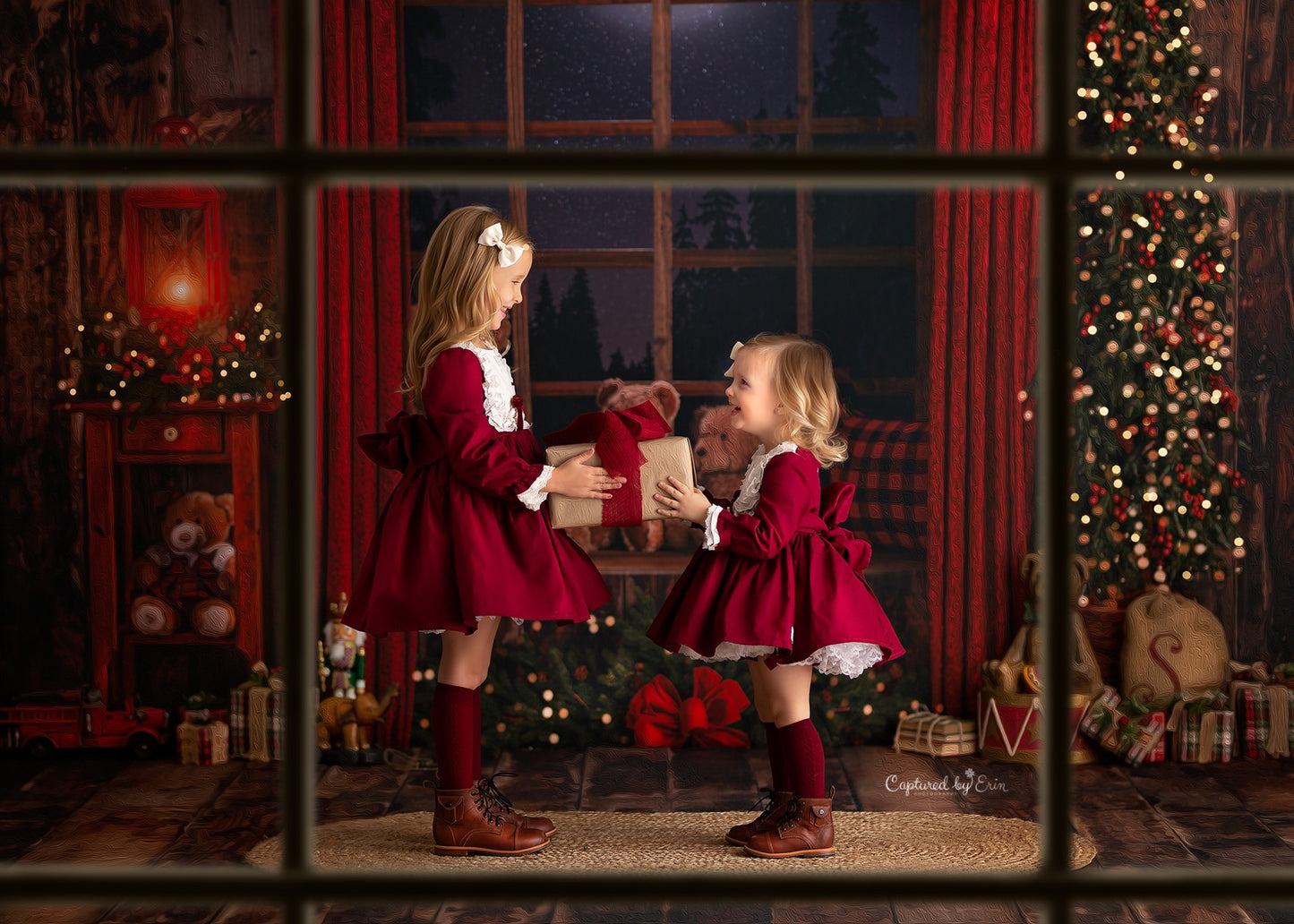 Cozy Beary Christmas View