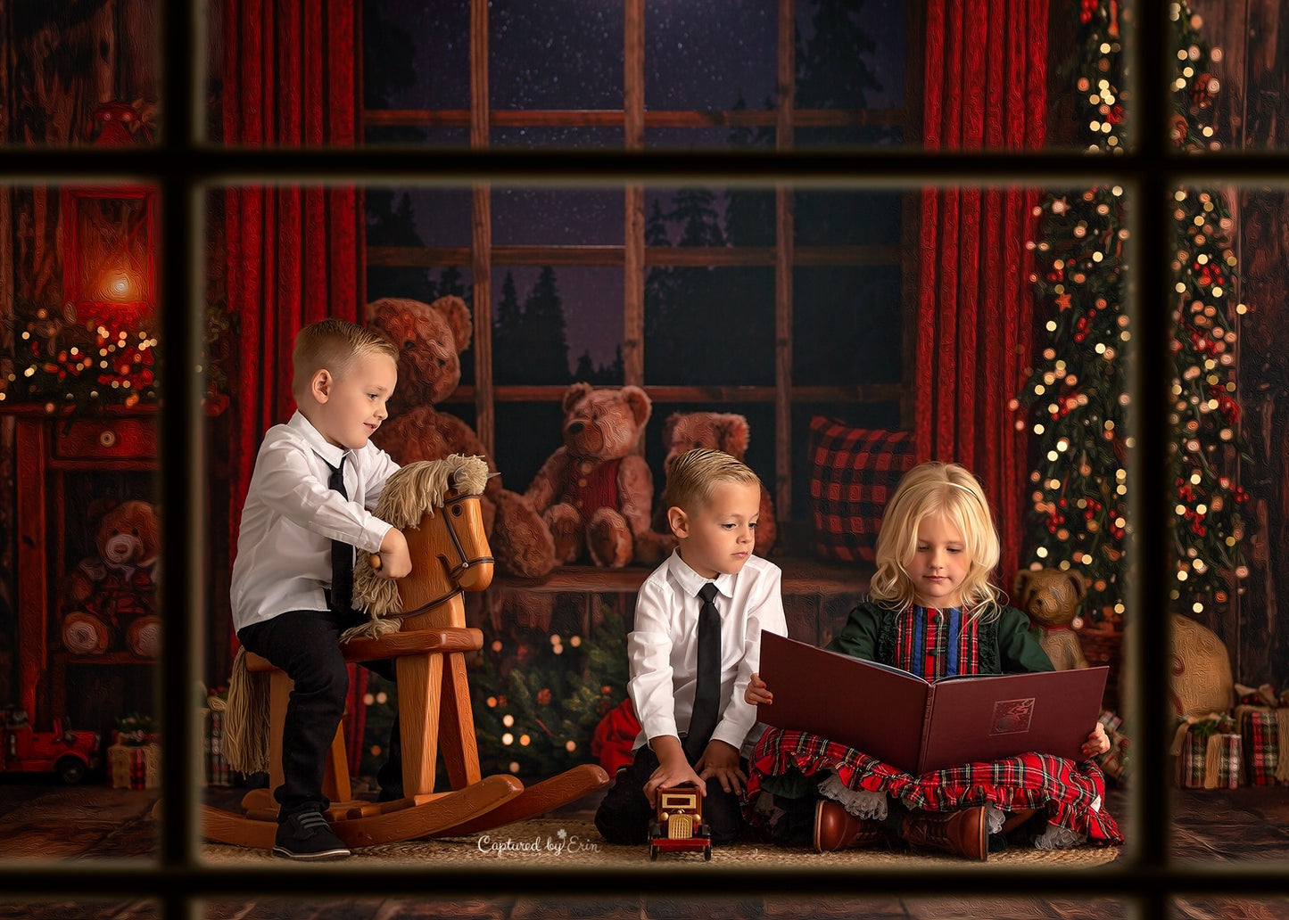 Cozy Beary Christmas View