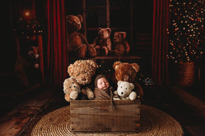 Cozy Beary Christmas View