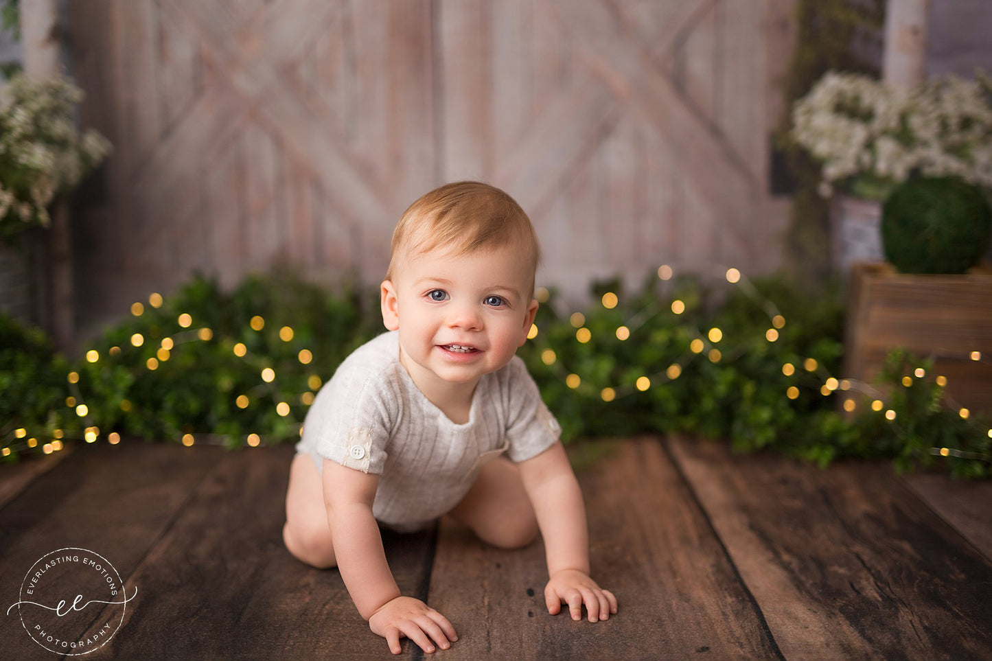 Knox Rustic Wood Planks