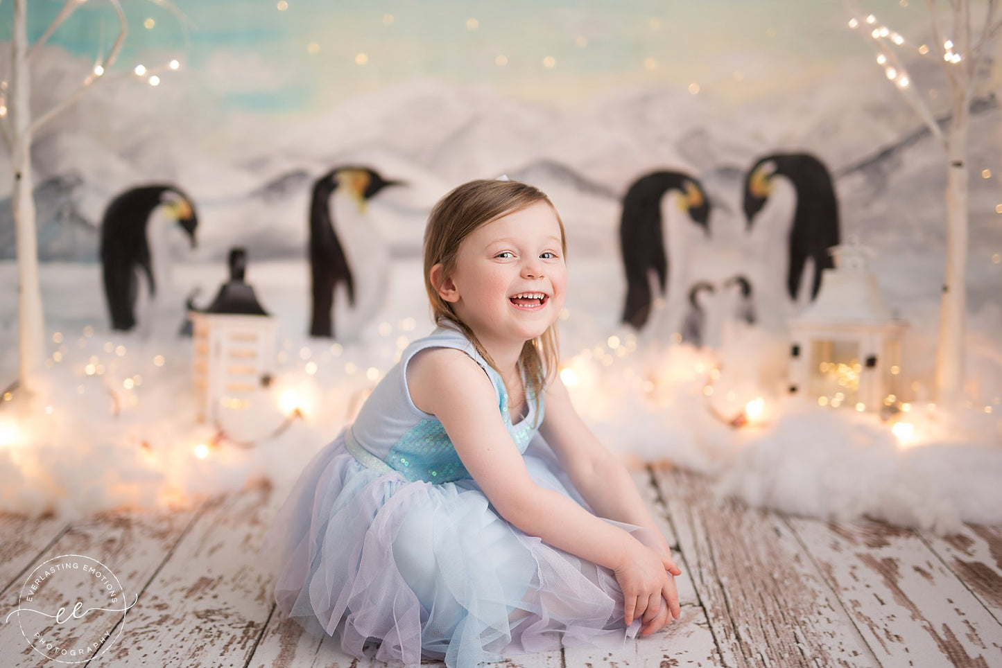 Dock Wood Planks Mat Floor