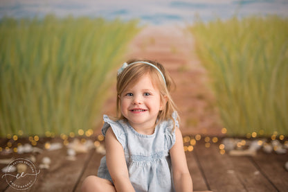 Beachfront Boardwalk