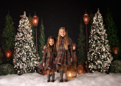 Evening Snowy Holiday Park 2pc Room