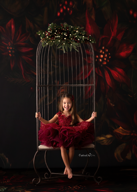Moody Poinsettia