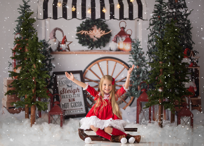 Sleigh Rides For Sale