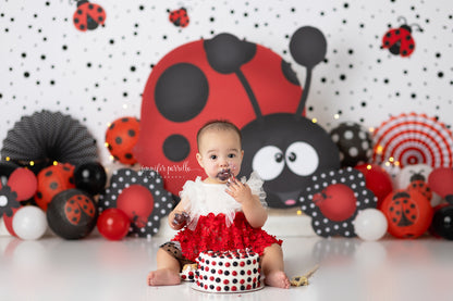 My Little Ladybug