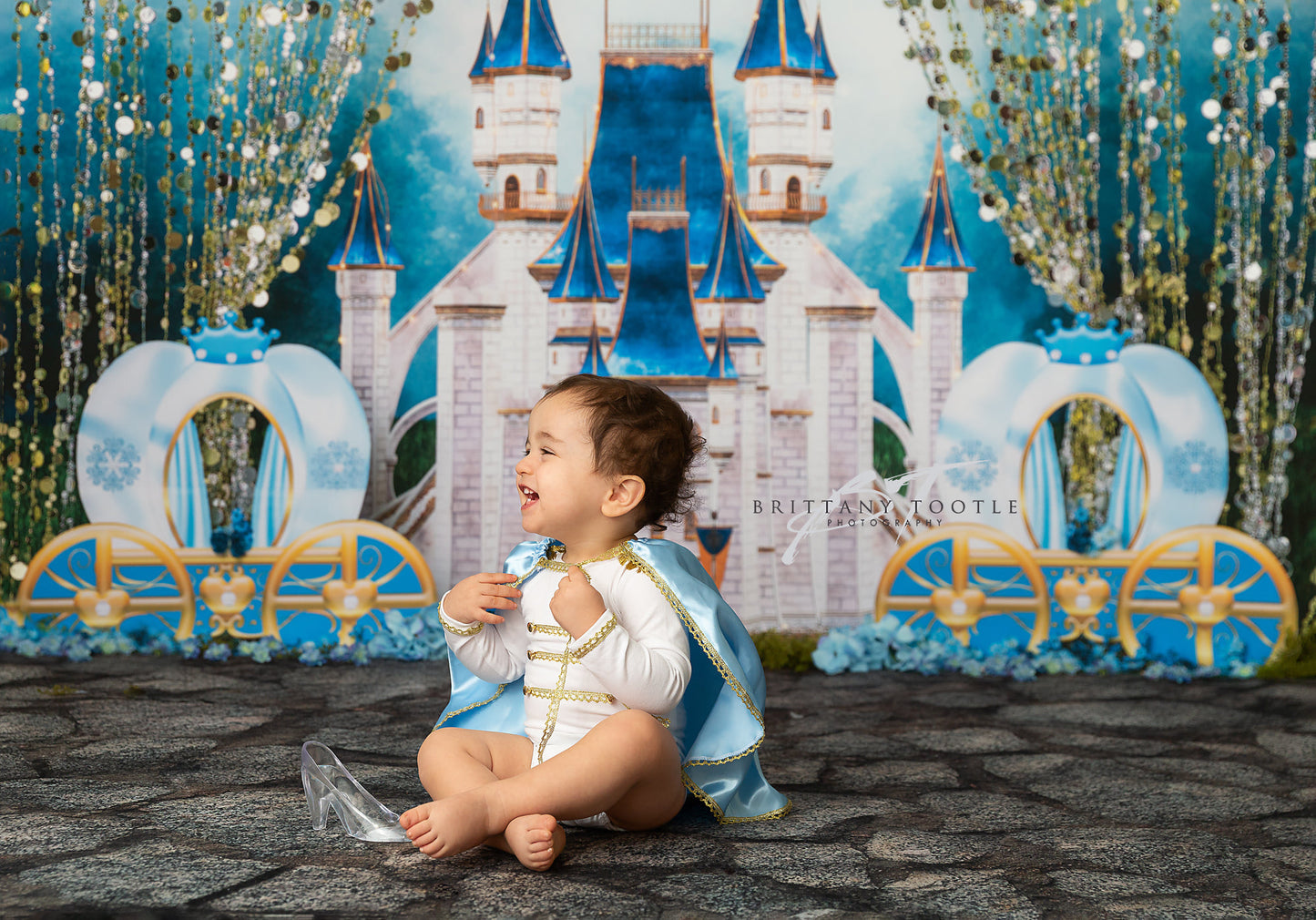 A Dream Is A Wish The Heart Makes