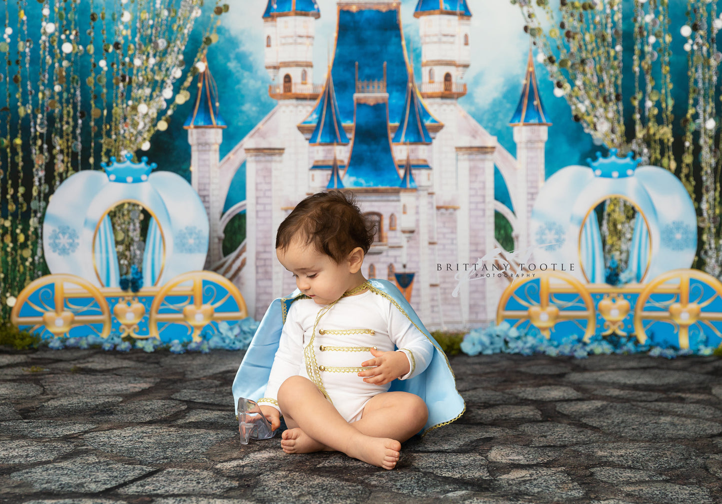 A Dream Is A Wish The Heart Makes