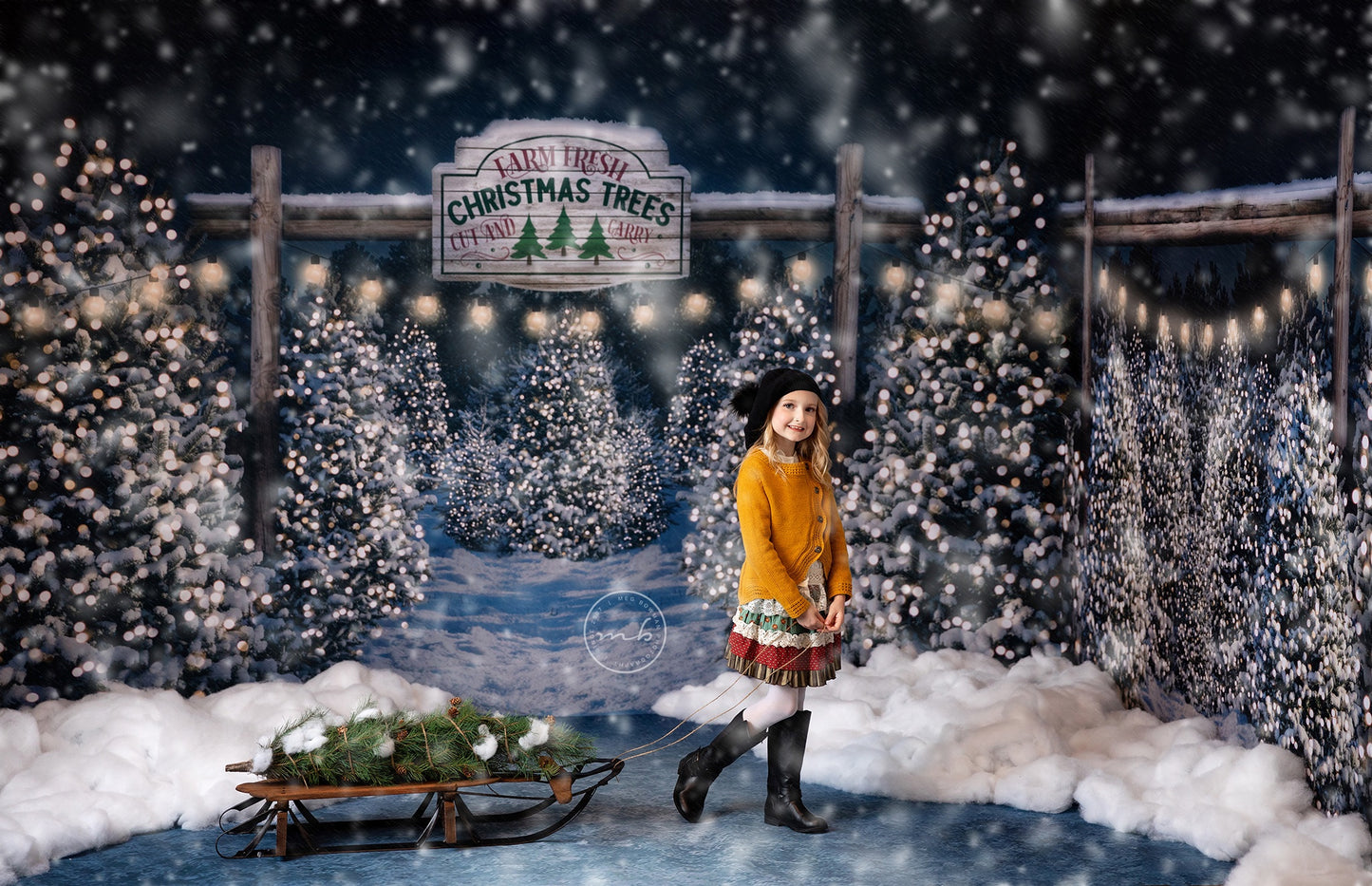 Evening Snowy Tree Farm Entrance