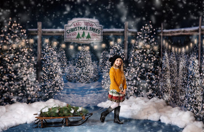 Evening Snowy Tree Farm Entrance