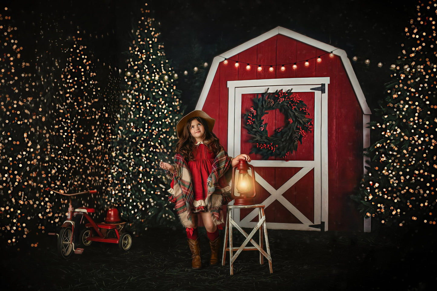 Evening At The Tree Farm