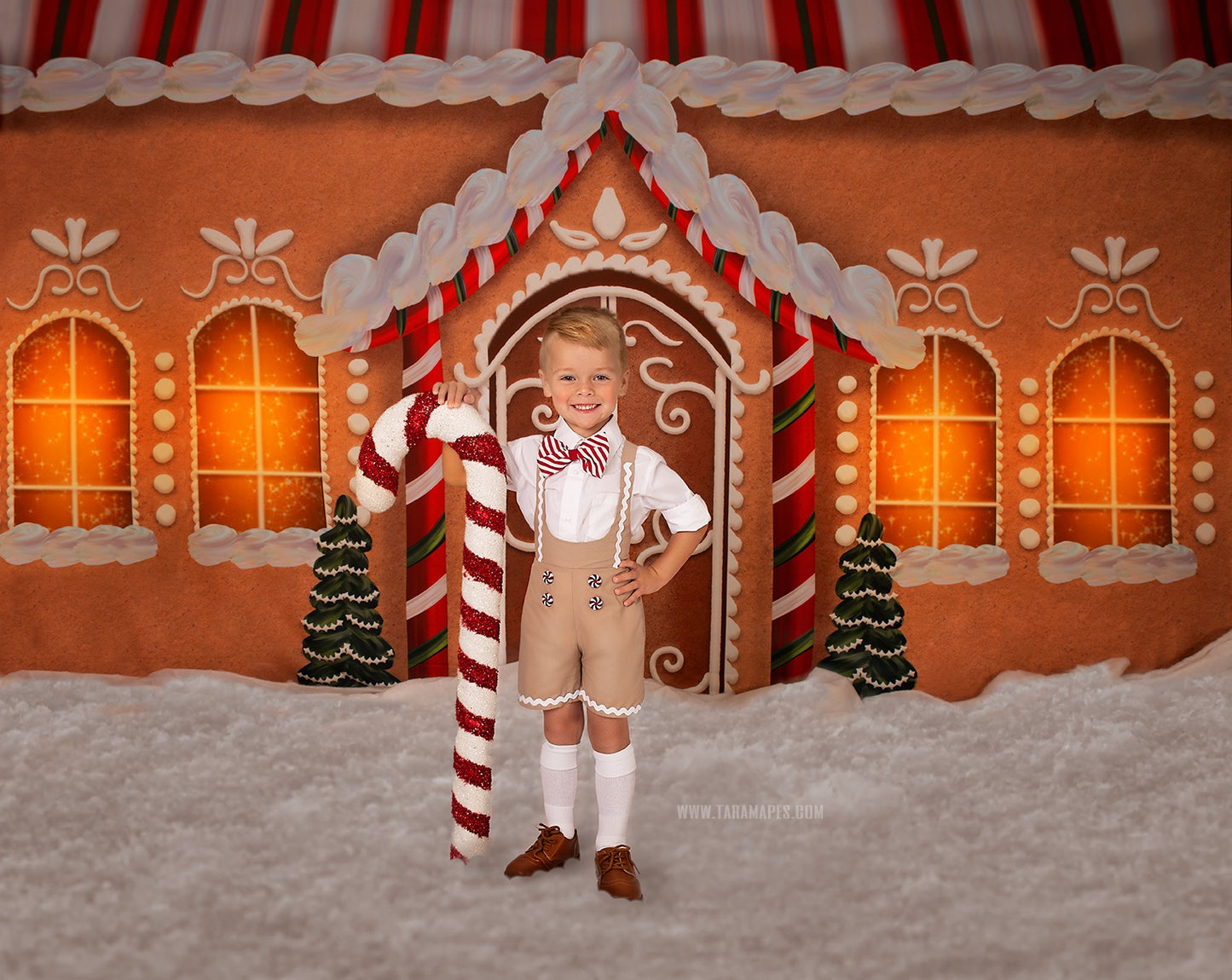 Little Fancy Gingerbread Cottage