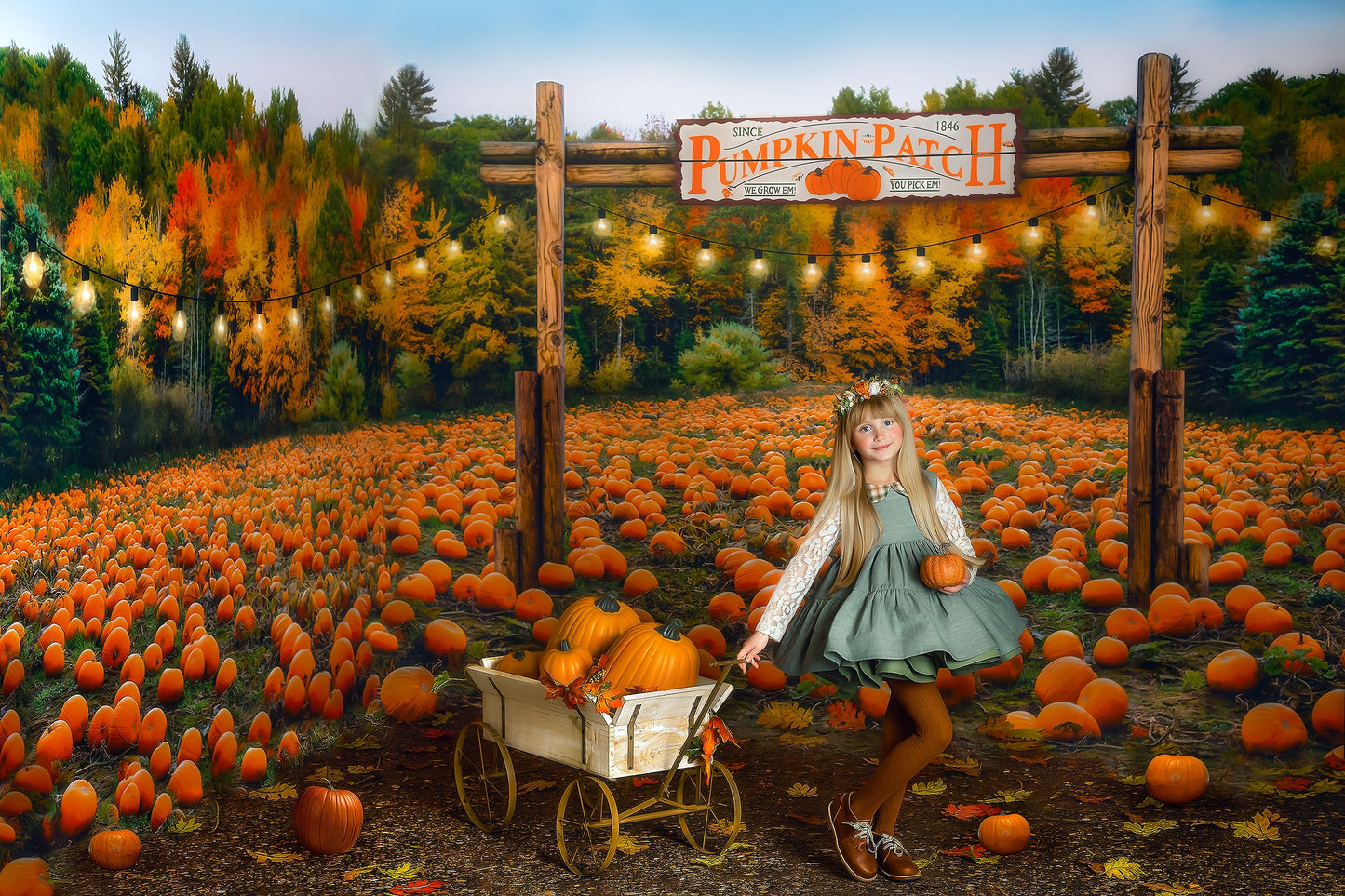 Welcome to the Pumpkin Patch Room