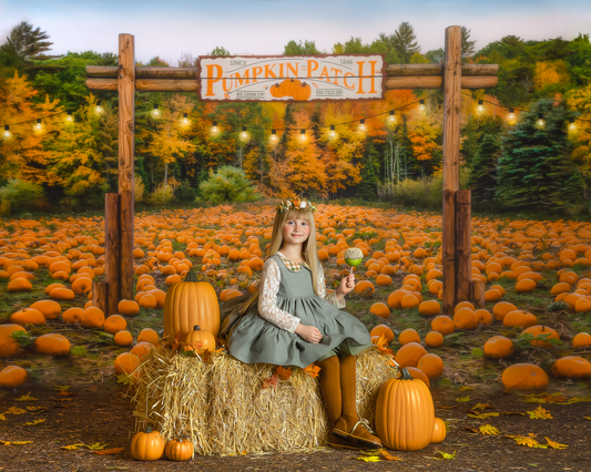 It's Pumpkin Pickin' Time Mini Room