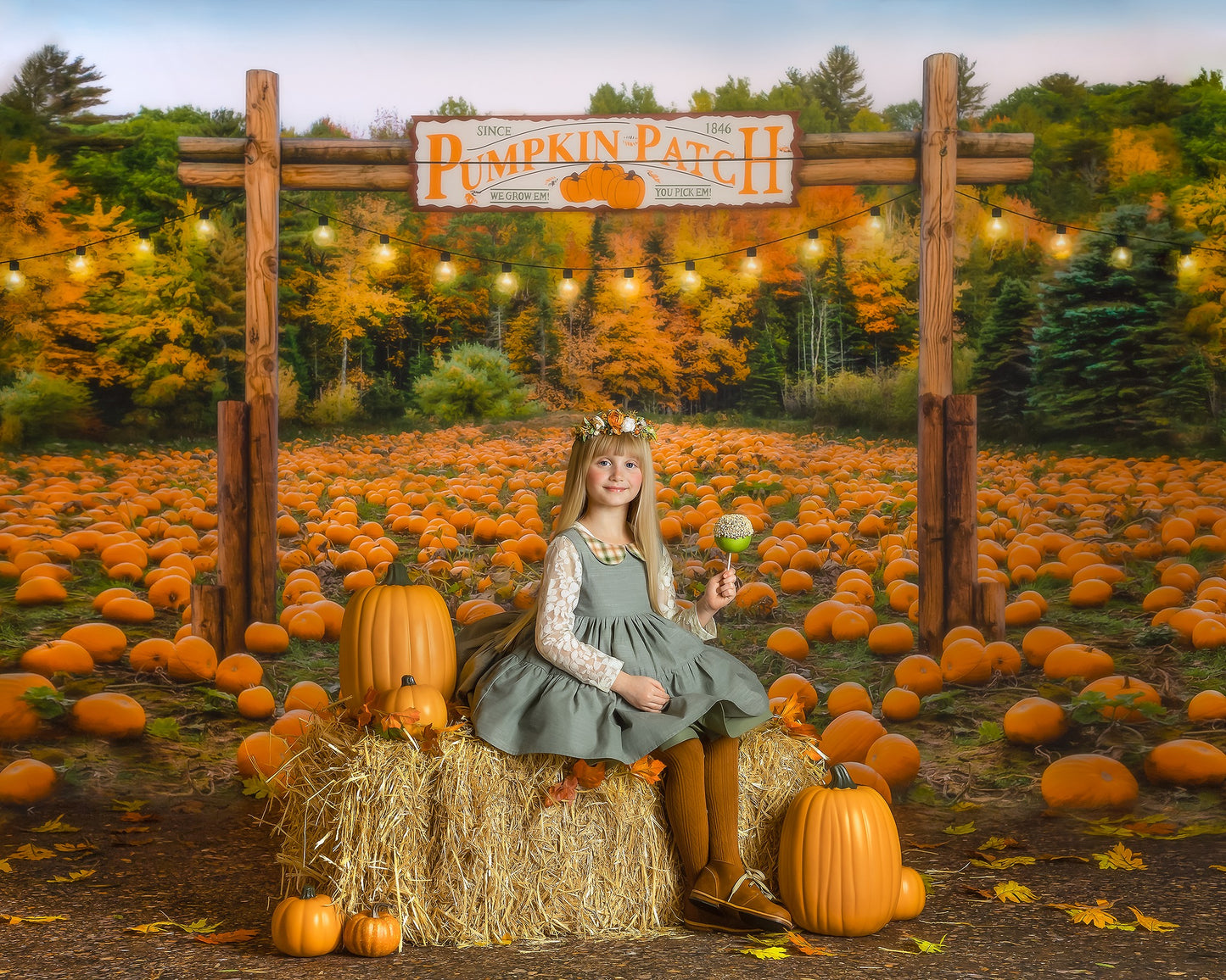 Welcome to the Pumpkin Patch Room