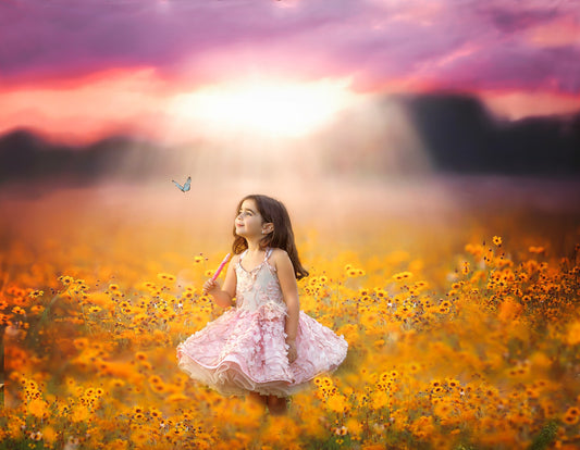 Golden Hour Wildflowers