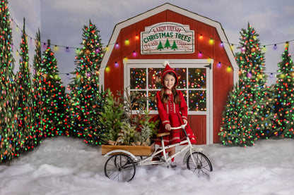 Farm Festive Christmas Trees 2pc Room