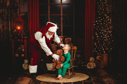 Cozy Beary Christmas View