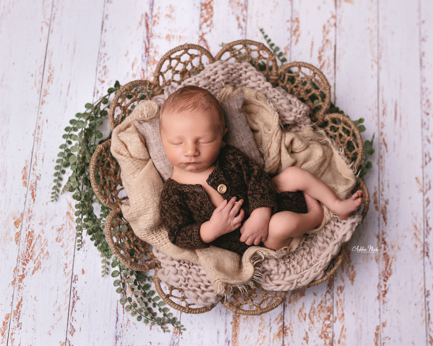 Purity Wood Planks - Petite