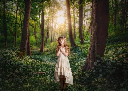 Flowering Forest White Meadow