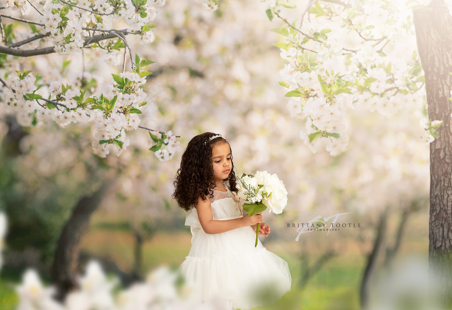 Flowering Forest Trees