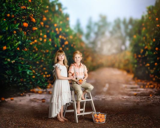 Orchard of Oranges