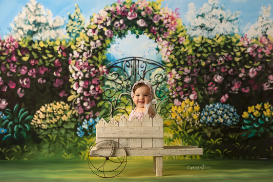 Through The Iron Gates