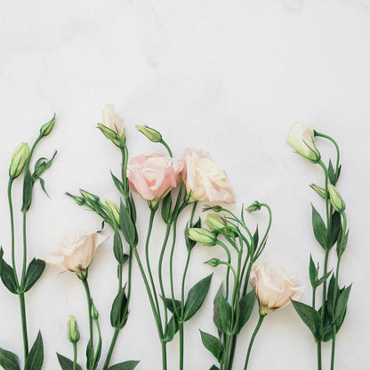 Marble Countertop - Petite