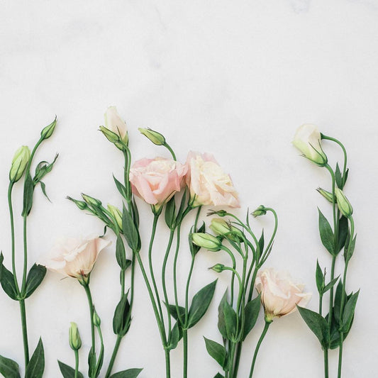 Marble Countertop - Petite