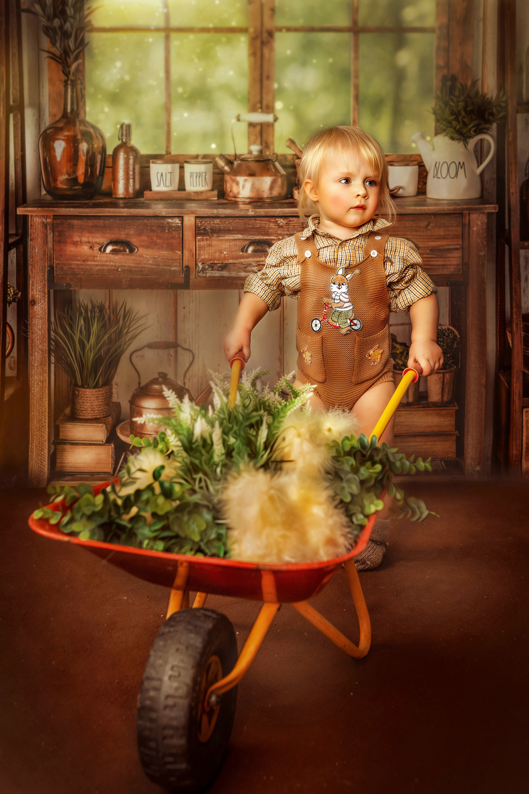 Organic Kitchen 2pc Room