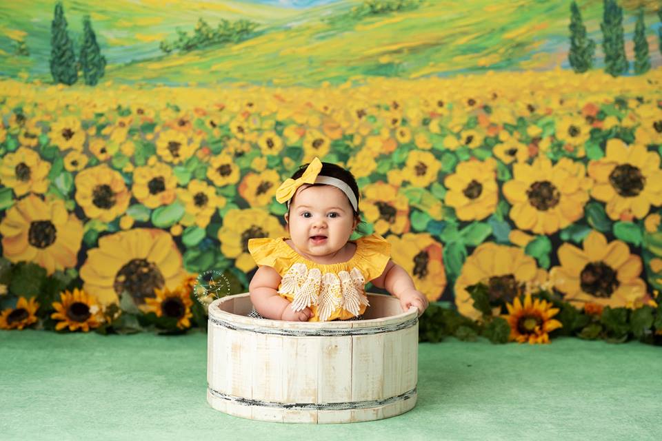 Sunflower Fields Forever