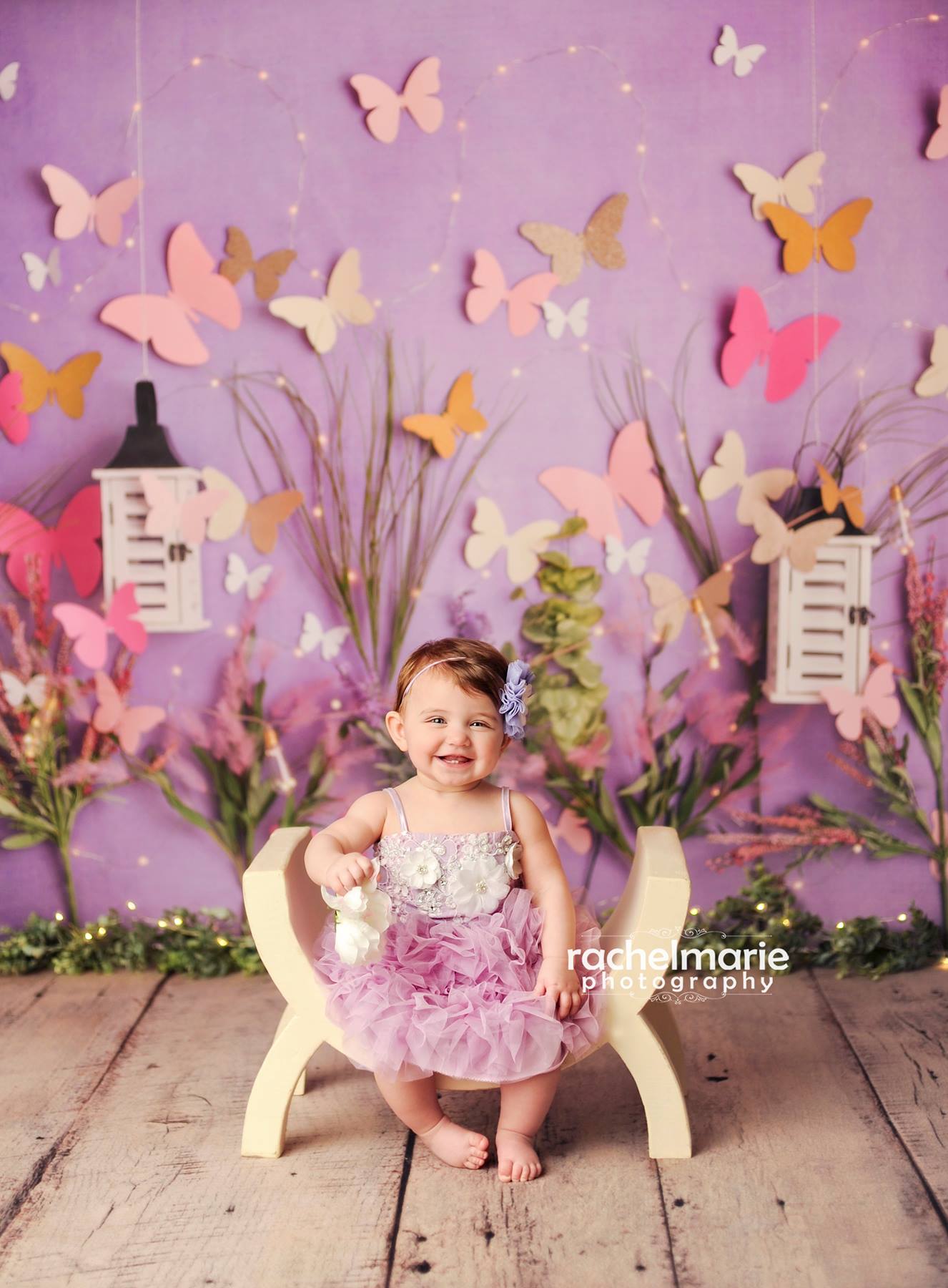 Painted Butterfly Photography Backdrop (AC Photography 17), Butterfly  Backdrop