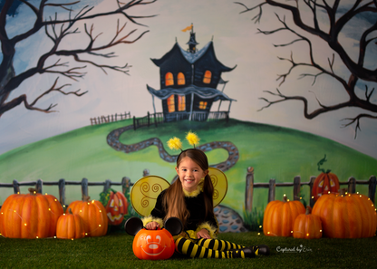 House On Spooky Hill
