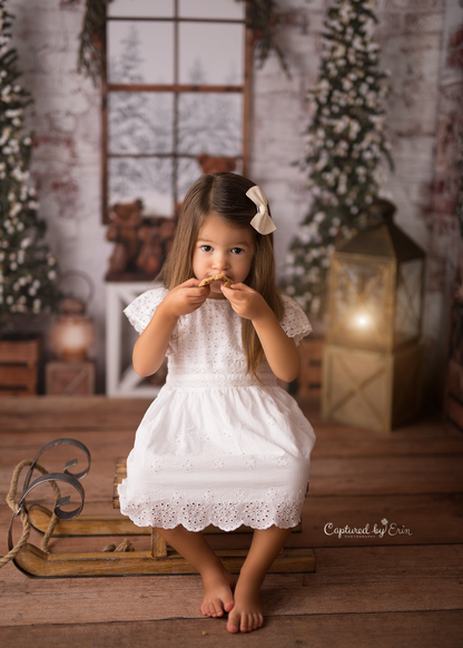 Beary Happy Mini Room