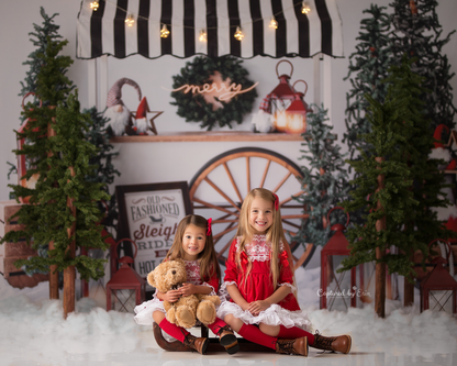 Sleigh Rides For Sale