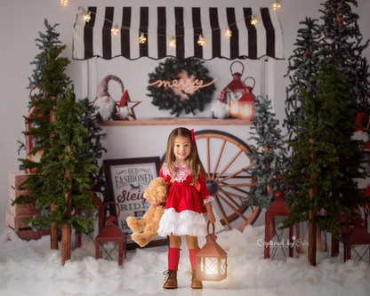 Sleigh Rides For Sale