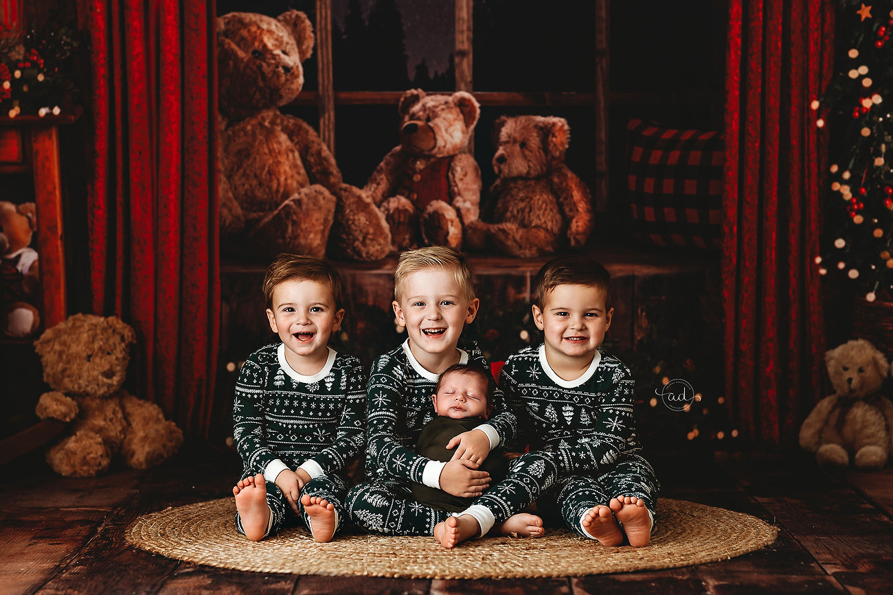 Cozy Beary Christmas View