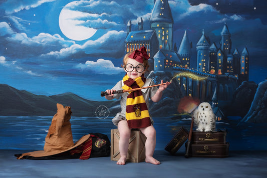Wizarding World