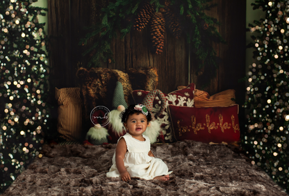 Gnome For The Holidays