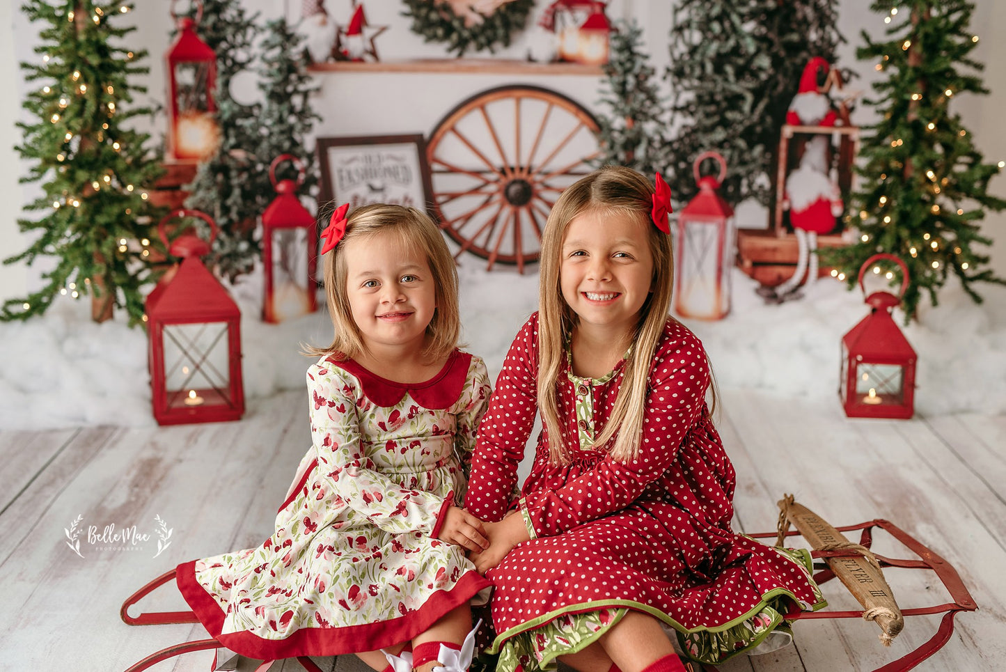 Sleigh Rides For Sale