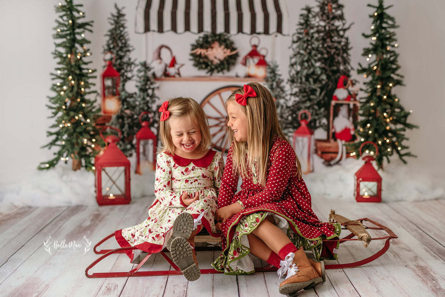 Sleigh Rides For Sale