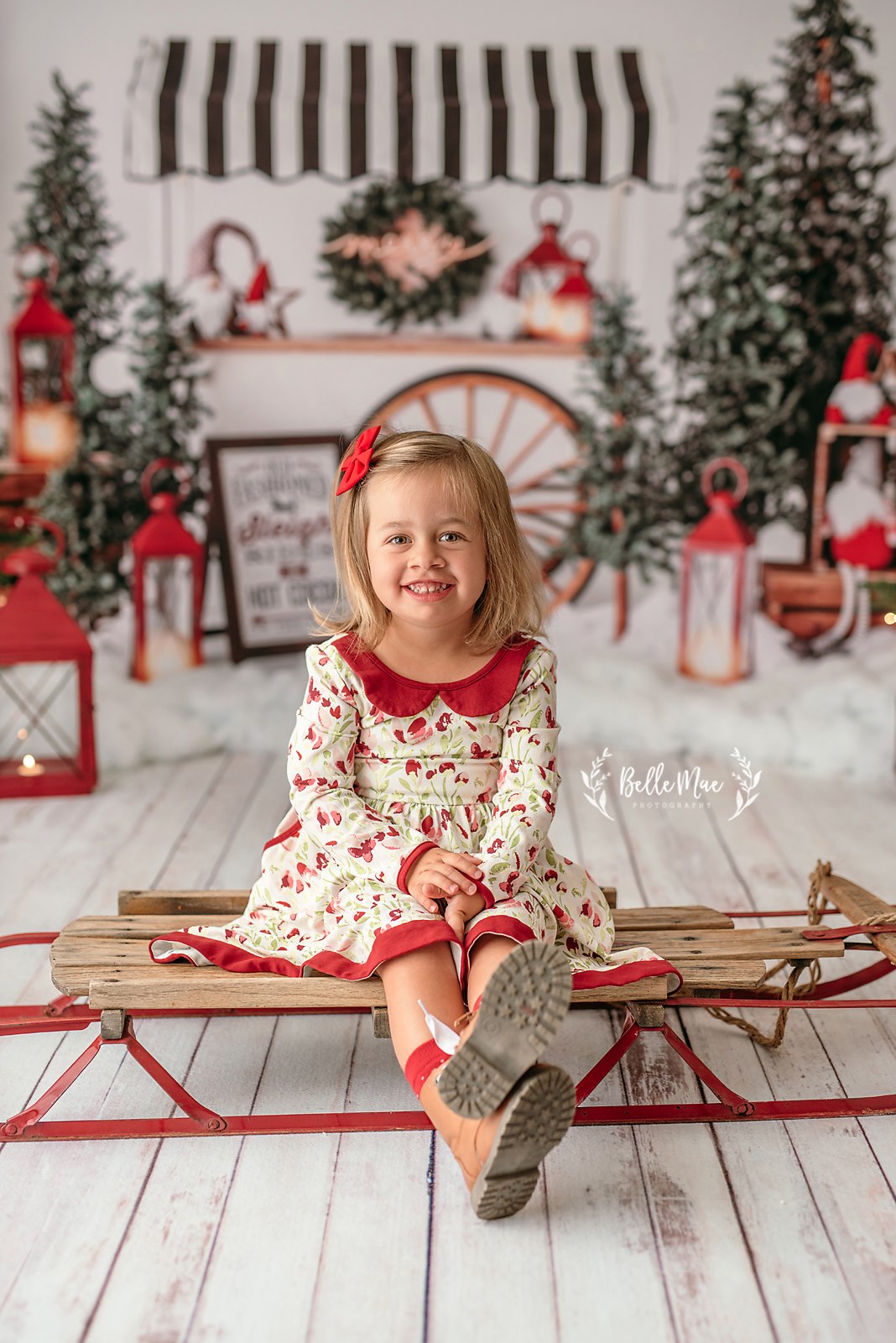 Sleigh Rides For Sale