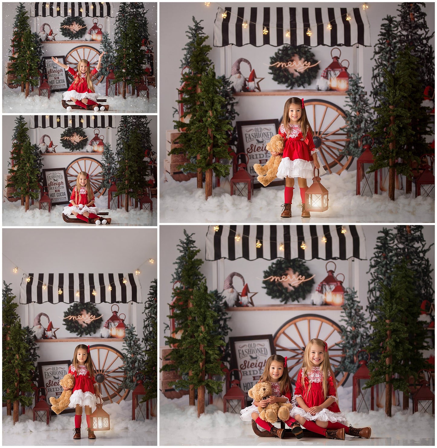 Sleigh Rides For Sale