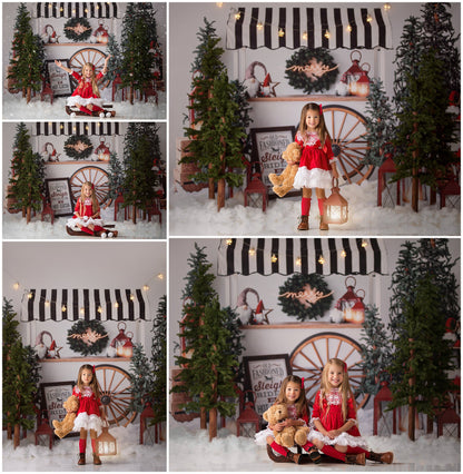 Sleigh Rides For Sale