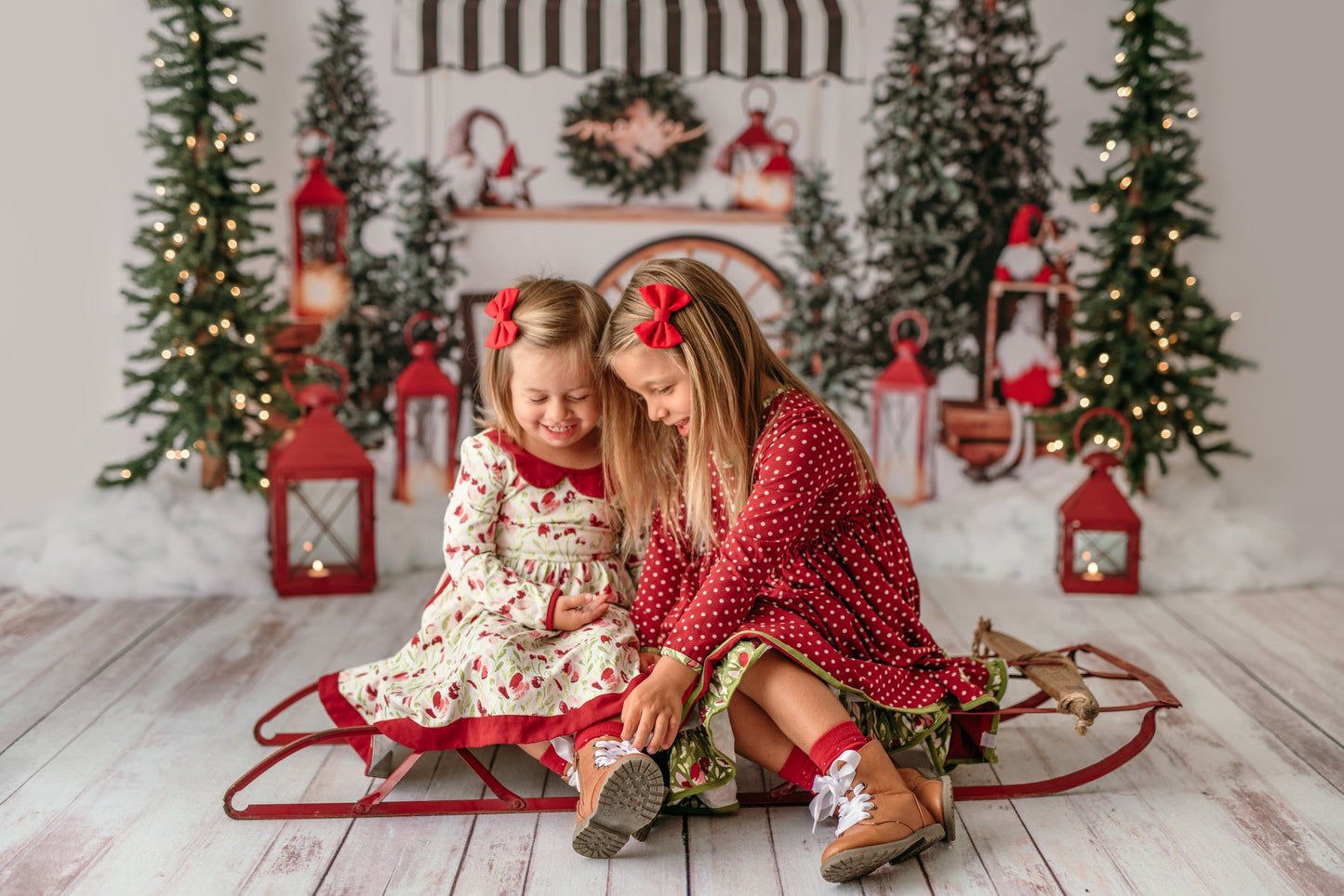 Sleigh Rides For Sale