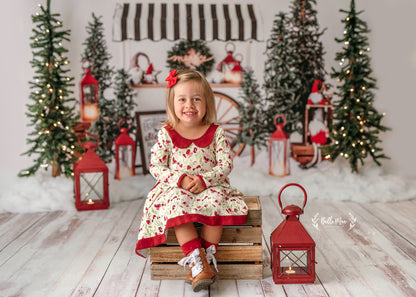 Sleigh Rides For Sale