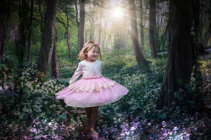 Flowering Forest White Meadow